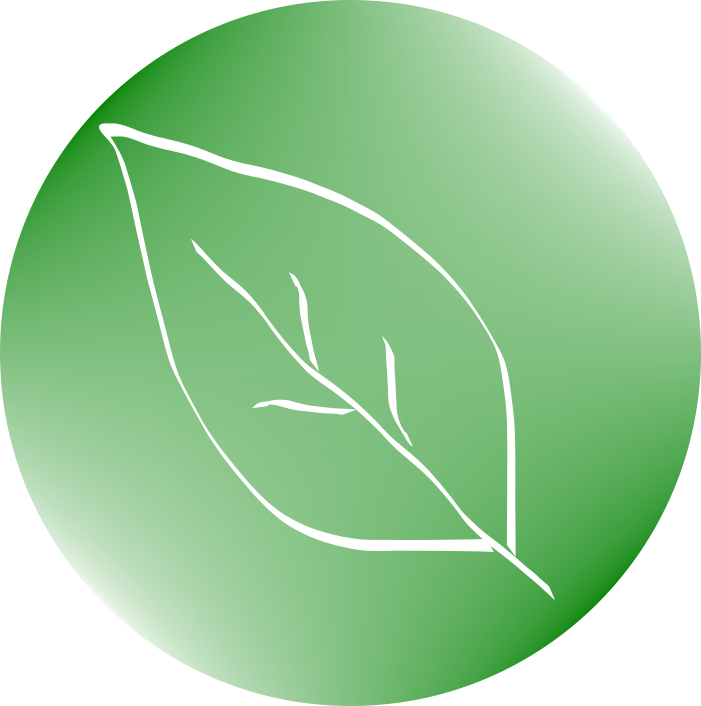 SciChain